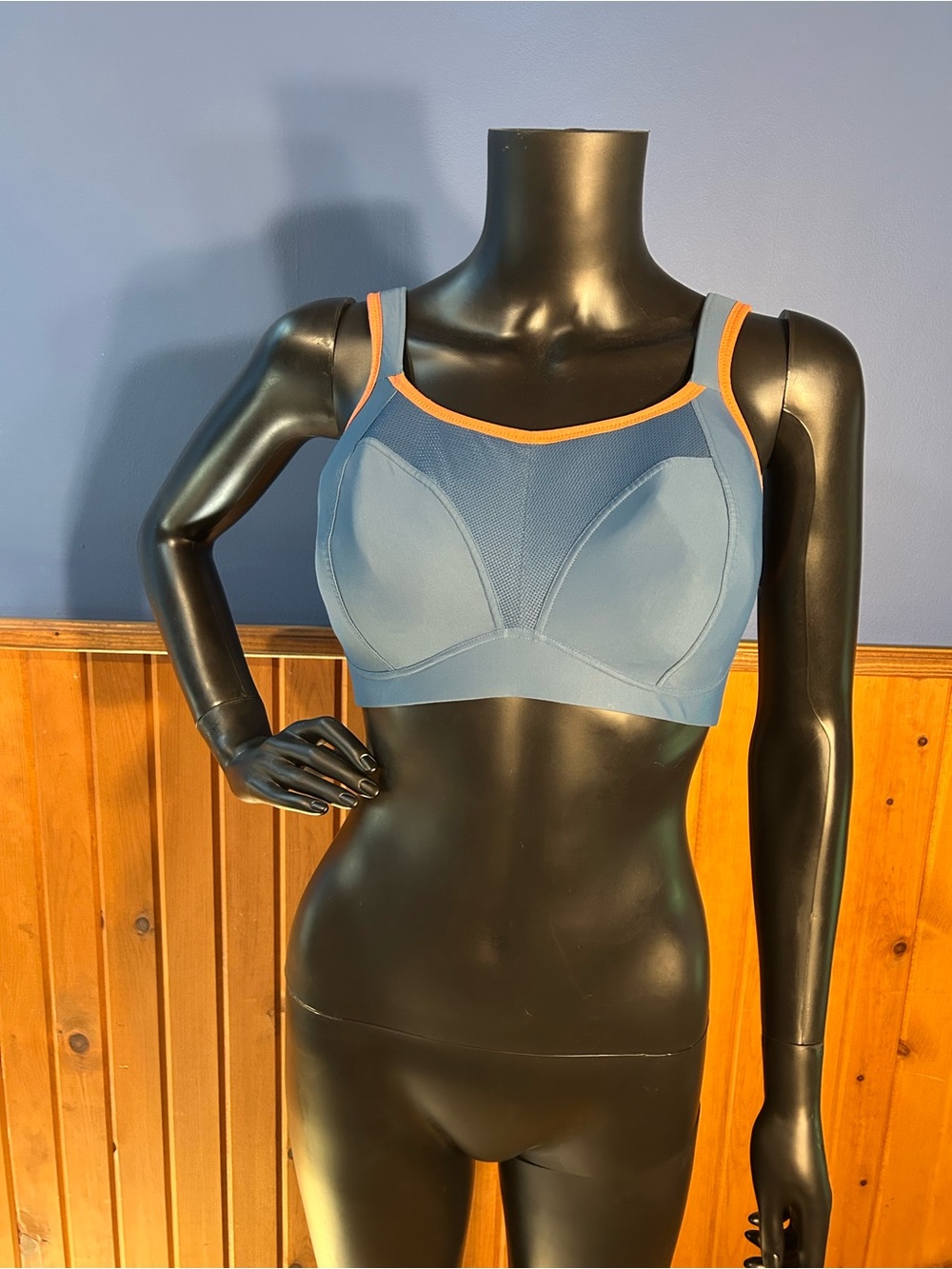 Panache 34F Blue and Orange Trim Wireless Sports Bra